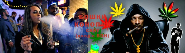 PSILOCYBIN Волосово