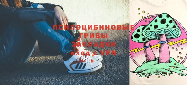 PSILOCYBIN Волосово