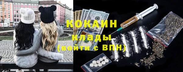 PSILOCYBIN Волосово