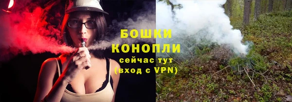 PSILOCYBIN Волосово