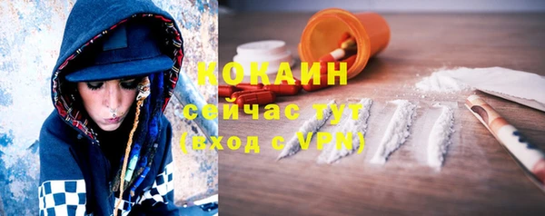 PSILOCYBIN Волосово